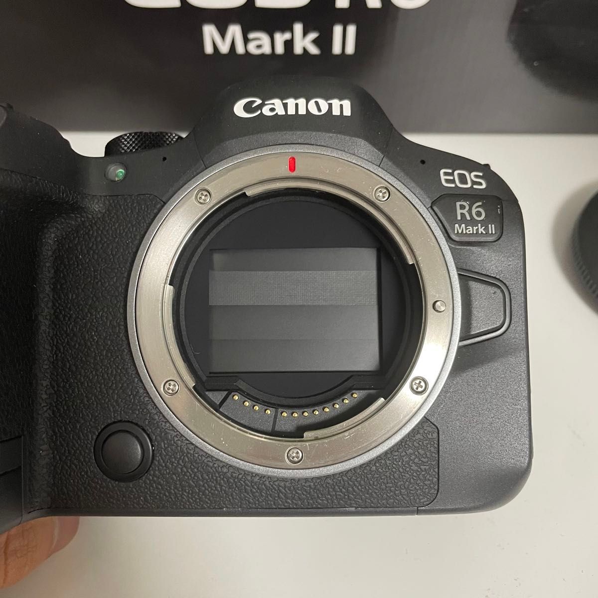 Canon r6 mark ii r6 mark 2