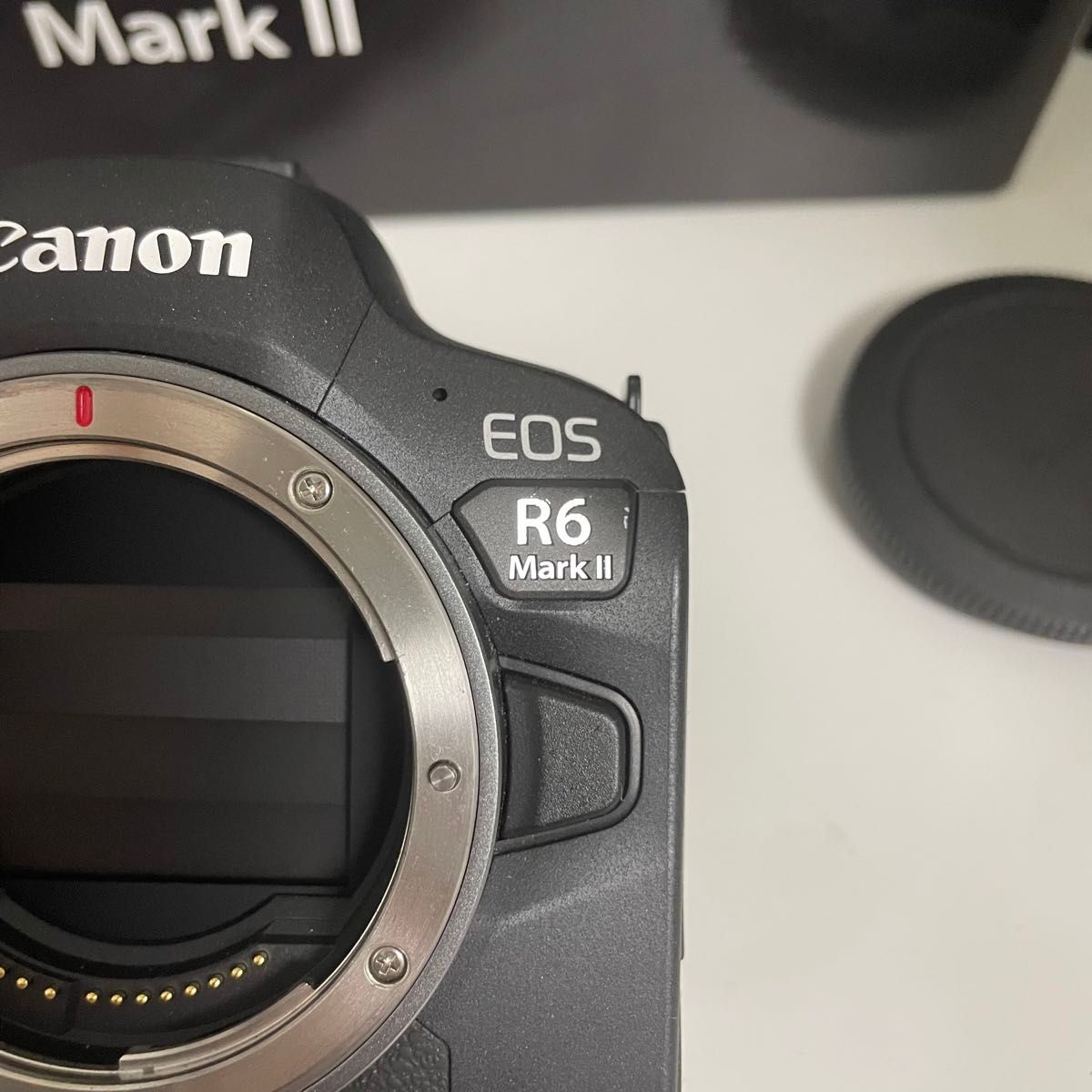 Canon r6 mark ii r6 mark 2