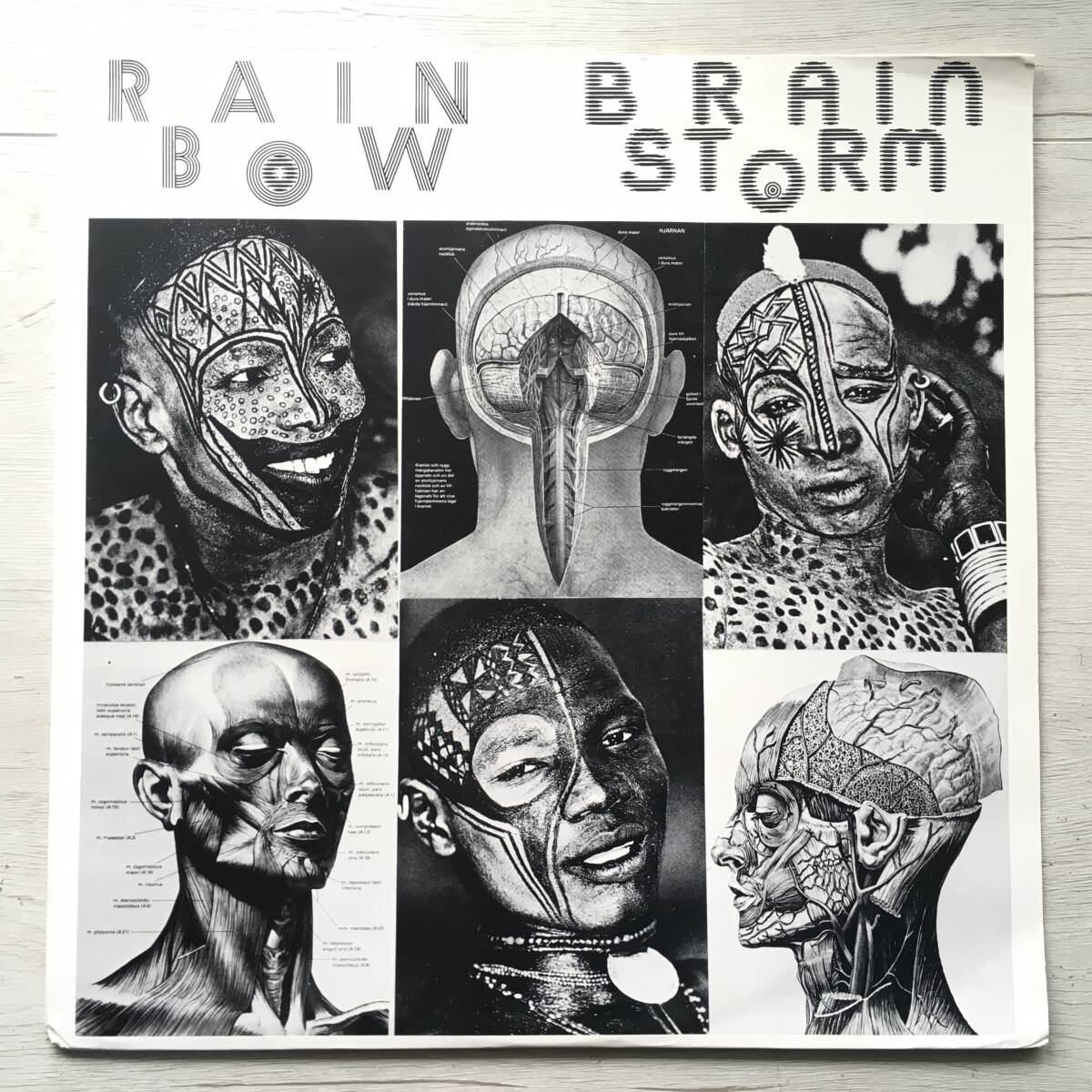 RAINBOW BRAINSTORM 1982/06/11 STOCKHOLM _画像1