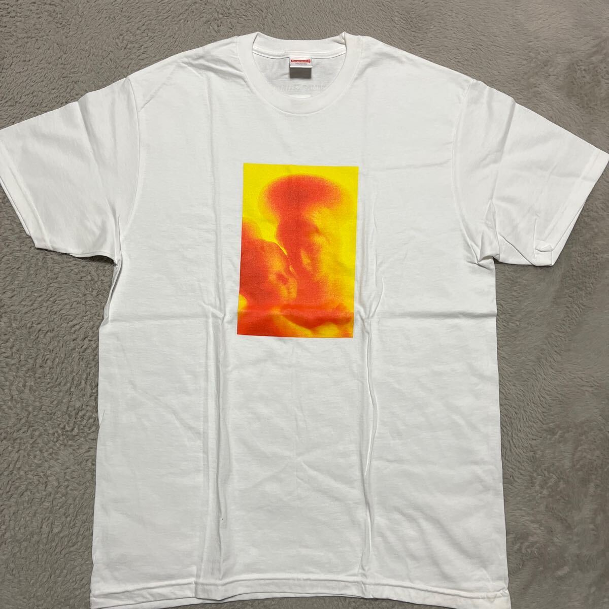  17aw Supreme × Andres Serrano Madonna& Child tee tシャツ 白　ホワイト　L_画像2