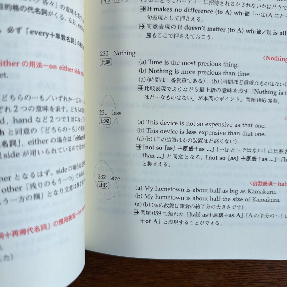 全解説実力判定英文法ファイナル問題集　文法・語法・イディオム・会話表現の総仕上げ　標準編 （大学受験スーパーゼミ） 