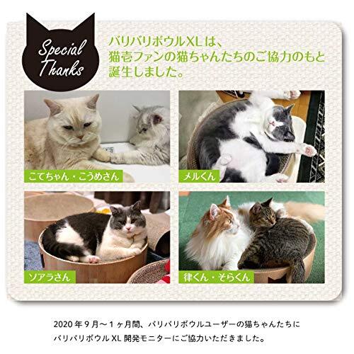 猫壱（necoichi） バリバリボウルXL　ライトブラウン_画像5