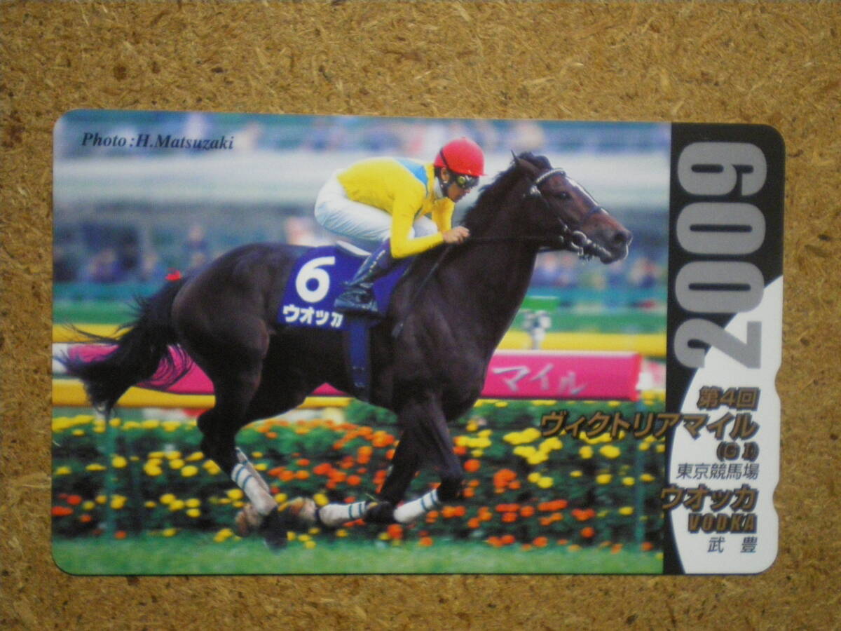 I329B3・ウオッカ 競馬 未使用 50度数 テレカの画像1