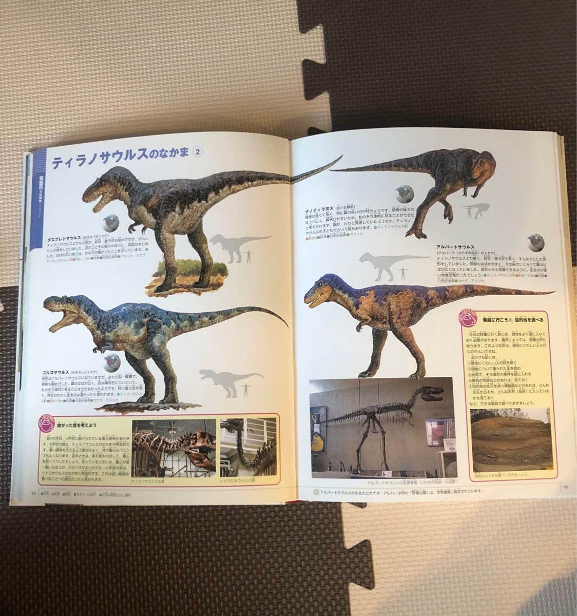 小学館の図鑑NEO  恐竜