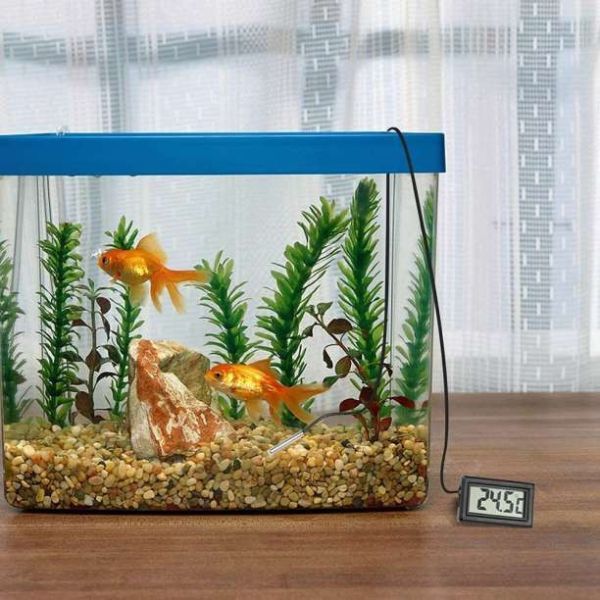  digital water temperature gage fish tanker reptiles aquarium cultivation for thermometer small size 2 piece set 2