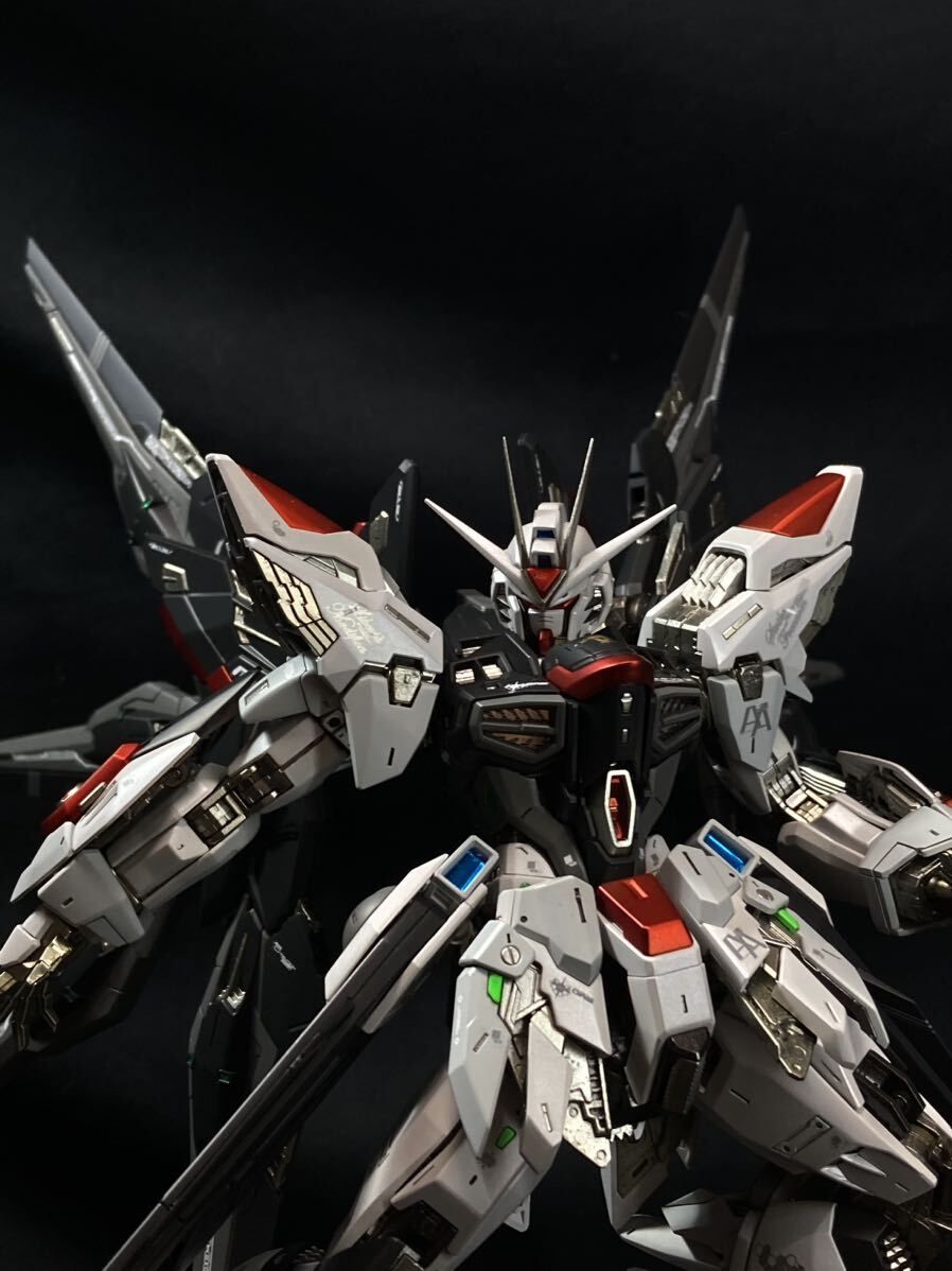 MGEX ストライクフリーダム 1/100 全塗装済 完成品 ZGMF-X20A ストフリ ガンプラ完成品 バンダイ 塗装済完成品_画像2