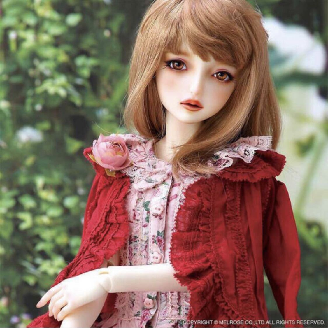 [ new goods ]SDGr girl Sophiesofi- full set Pink House PINK HOUSE balk svolks limitation immediate payment sd doll 