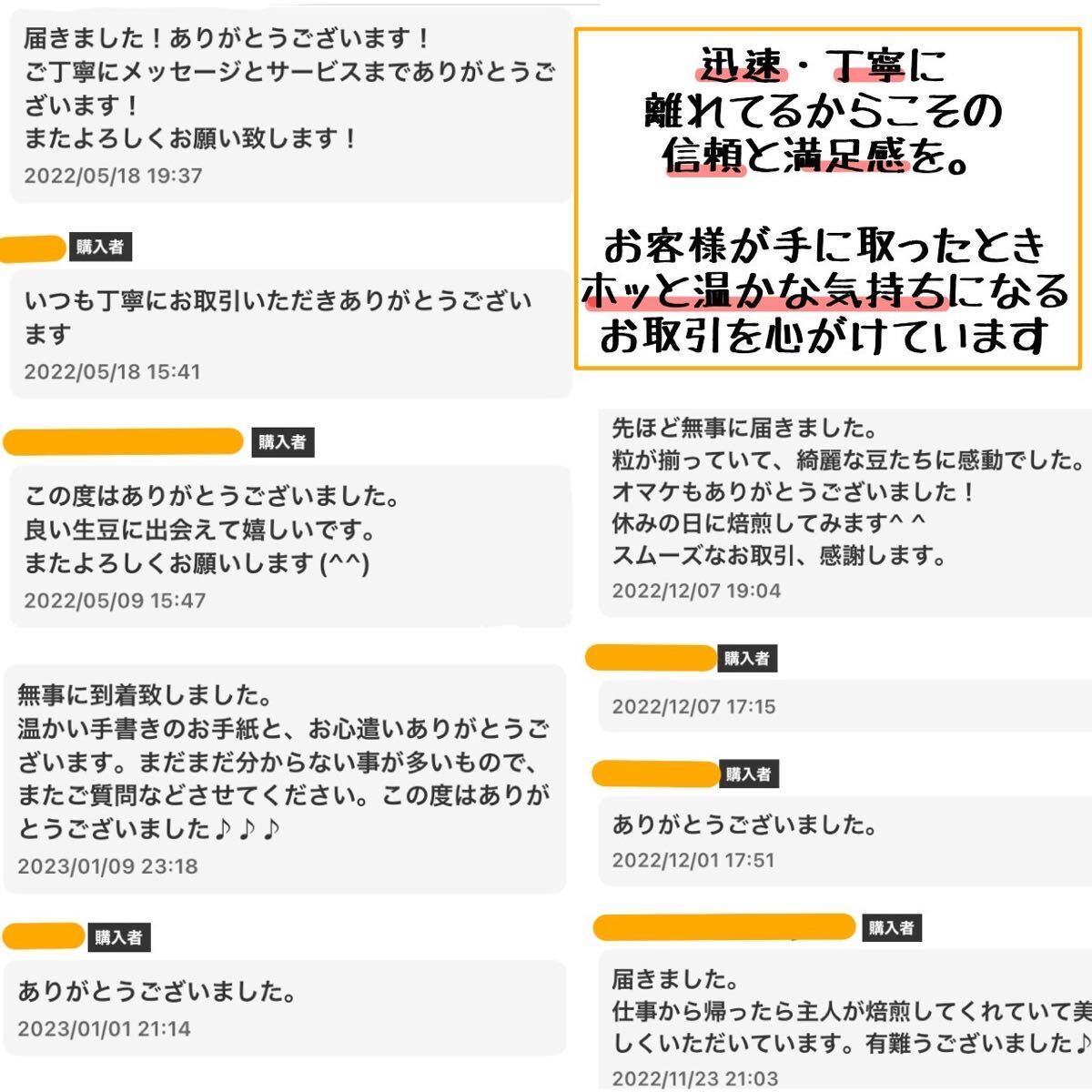 生豆 800g ベトナム アラビカ ルビーマウンテン G1 スペシャリティコーヒー 珈琲豆 コーヒー豆 自家焙煎用