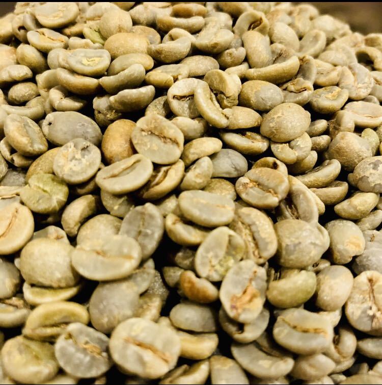  raw legume 800g Vietnam alabi Calbee mountain G1 special liti coffee .. legume coffee bean 