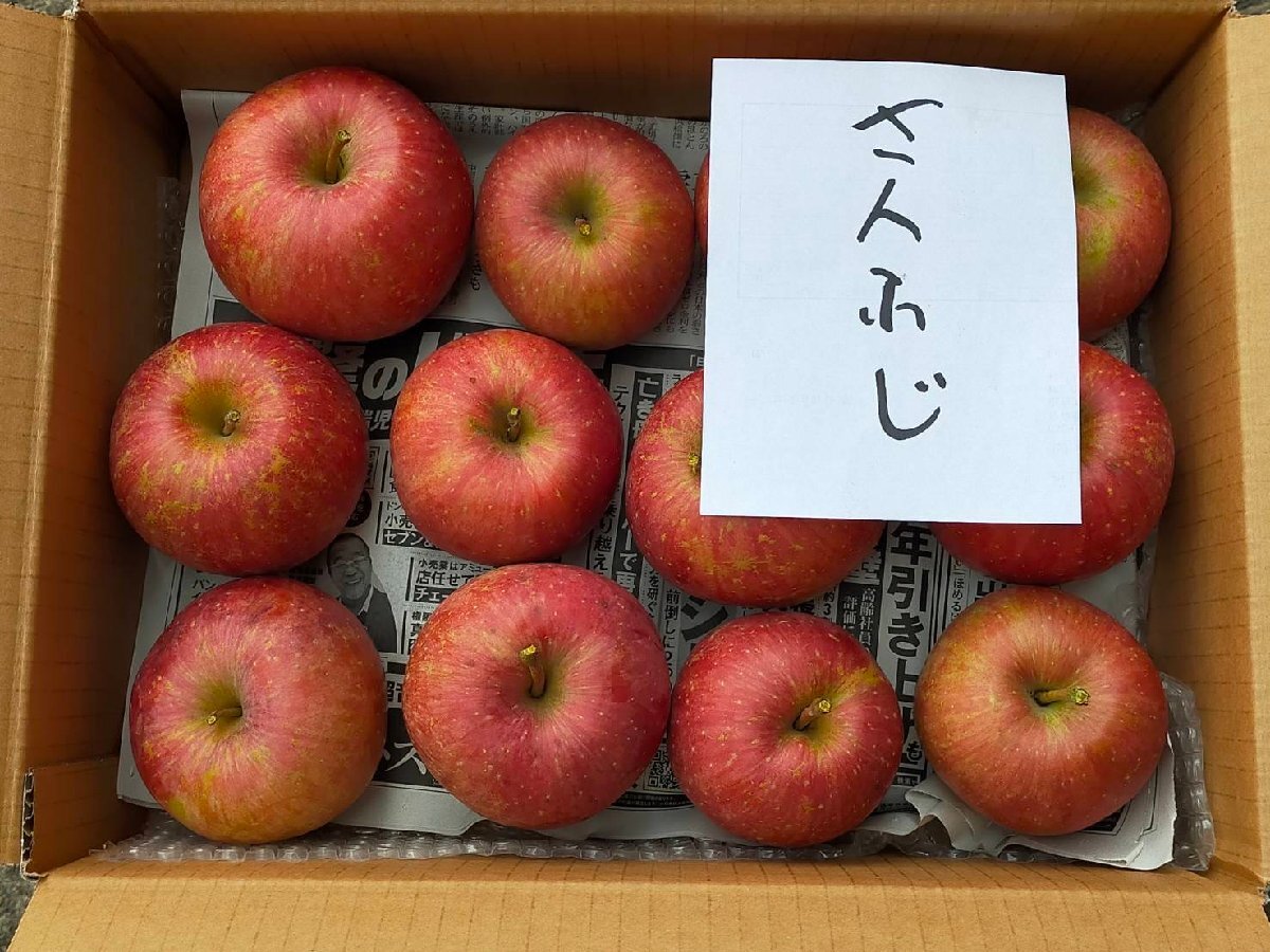 【数量限定】サンふじ 訳あり3kg 青森県産 りんご【6012】_画像3