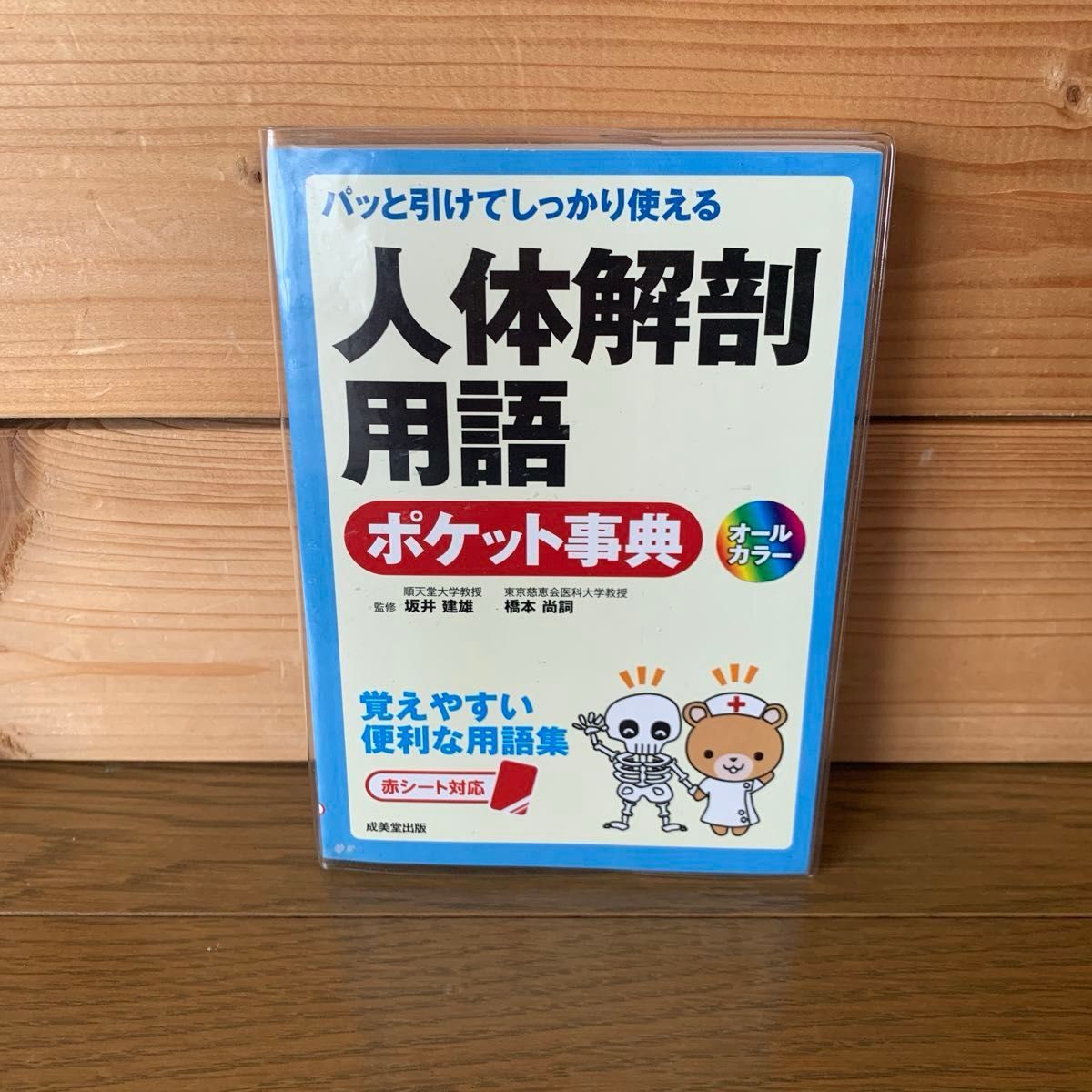 モニター心電図、解剖学