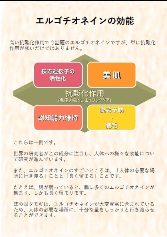 エルゴクリーンティー ボタニカルシャンプー、トリートメント、おまけ付き セット エルゴチオネインβグルカン 美容美髪_画像4