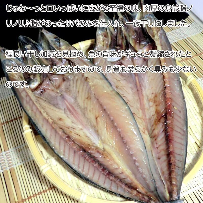 サバ開き 10枚 ふっくらジューシー鯖 さば 一夜干し さば開き まとめ買い 干物 サバ 開き魚 贈り物 お彼岸 母の日 父の日_画像2