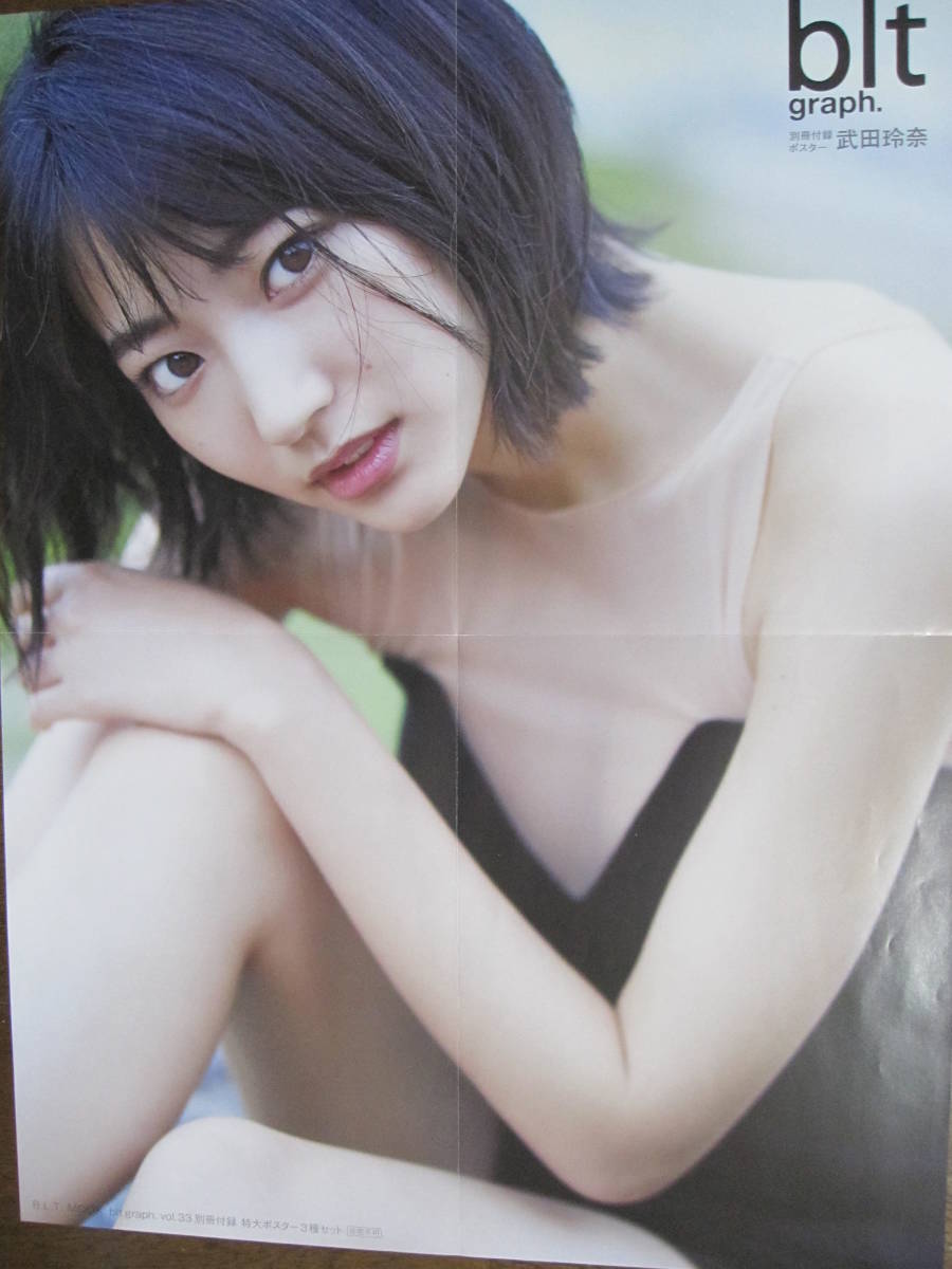 ポスター　武田玲奈　（833）_画像1