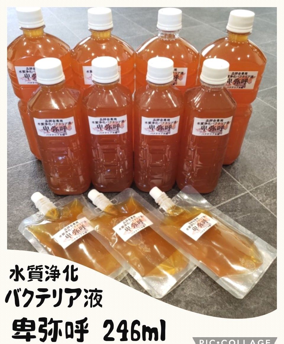 水質浄化バクテリア液  卑弥呼  お試しサイズ246ml