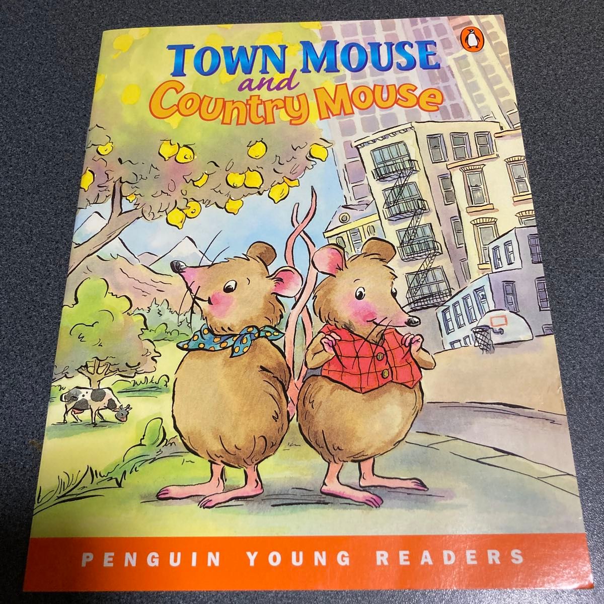 英語絵本　町のネズミと田舎のネズミ　LONGMAN  『Town mouse and country mouse』読み聞かせ　暗唱