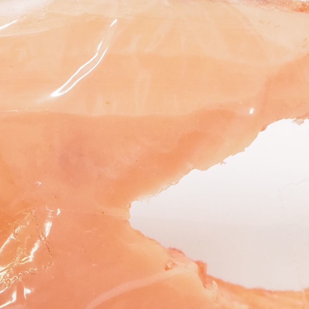 未使用 焼鮭 サケ 切り身 輪切り 食品サンプル 幅14.5 高さ2 実物大 展示 ディスプレイ 魚 サーモン HO250_画像3