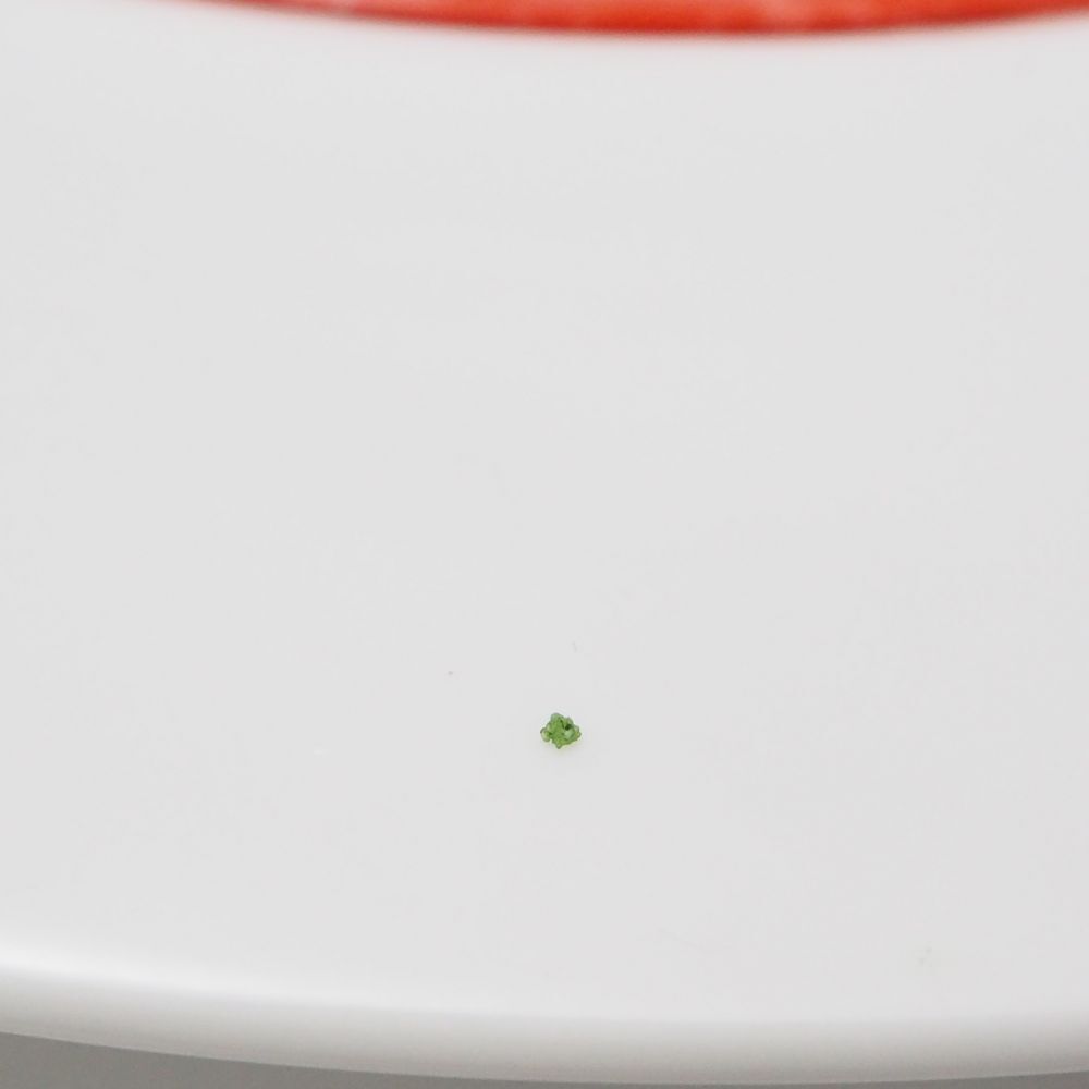 美品 トマトオムライス エビフライ スープ 食品サンプル 3点 セット おまとめ 洋食 実寸大 展示用 HO323_画像3