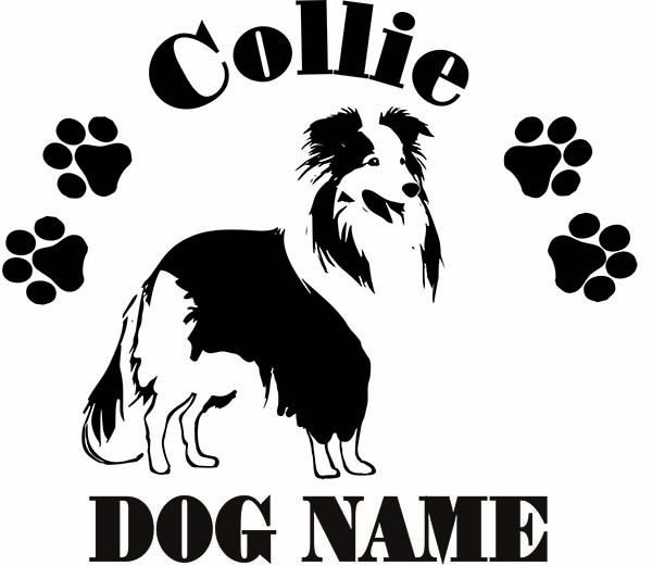  collie. sticker!! width . approximately 180mm!!