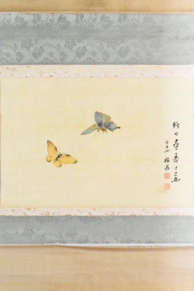 K3142 模写 山本梅荘「蝶」絹本 合箱 貫名海屋師事 地方三大家 日本画 中国 骨董 古画 掛け軸 掛軸 古美術 愛知の人 人が書いたもの_画像1