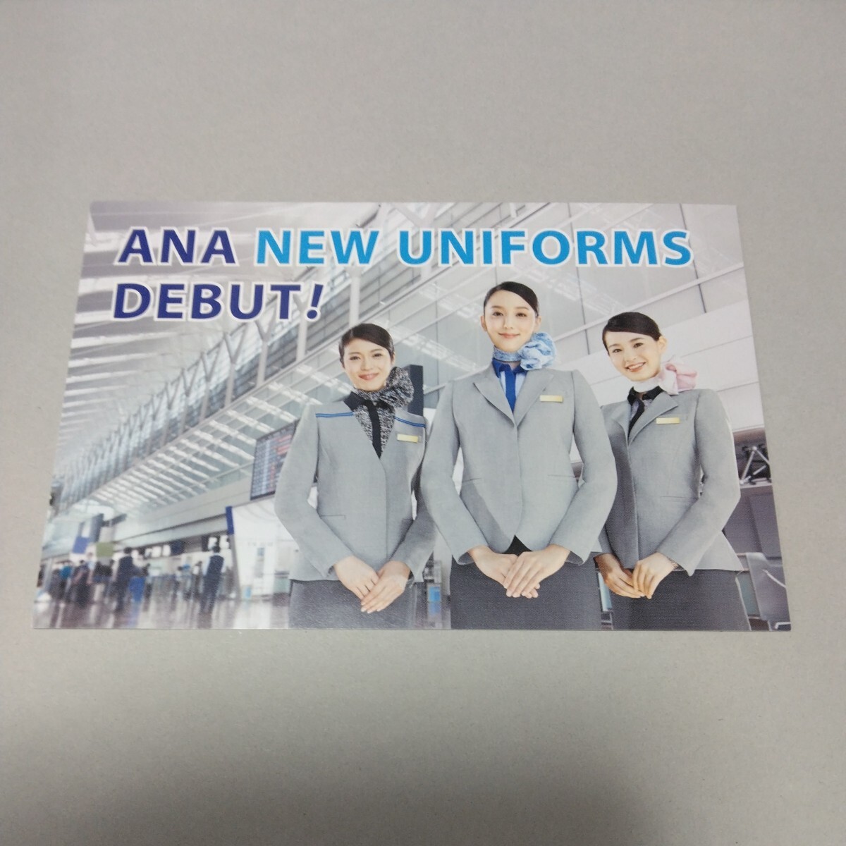  including carriage! ANA all day empty [ cabin attendant new uniform debut ] postcard (schuwa-tes* airplane * aviation * picture postcard * picture postcard 
