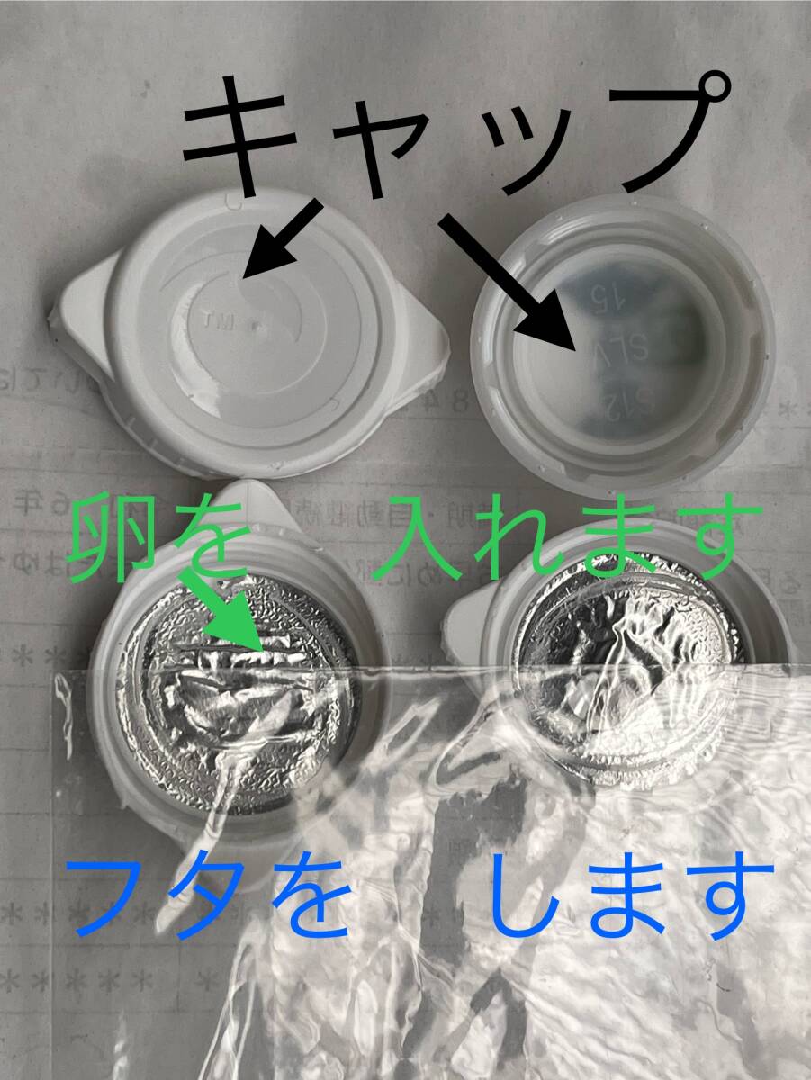 アゲハチョウの卵 数個 ＋幼虫数匹 あげはちょうの卵 アゲハ蝶の卵 あげは蝶の卵の画像3