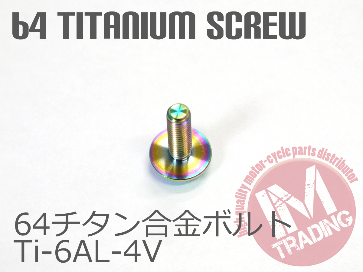 64チタン合金スクリーンボルト M5×16mm P0.8 6本セット ゆうパケット対応 焼き色付きTi-6Al-4V GR5 カウルボルト◇_画像3