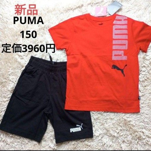 プーマ　新品　セット　黒　赤　上下　150　半袖　Tシャツ　ハーフパンツ　男の子 体操服 上下セット ジャージ　半袖Tシャツ