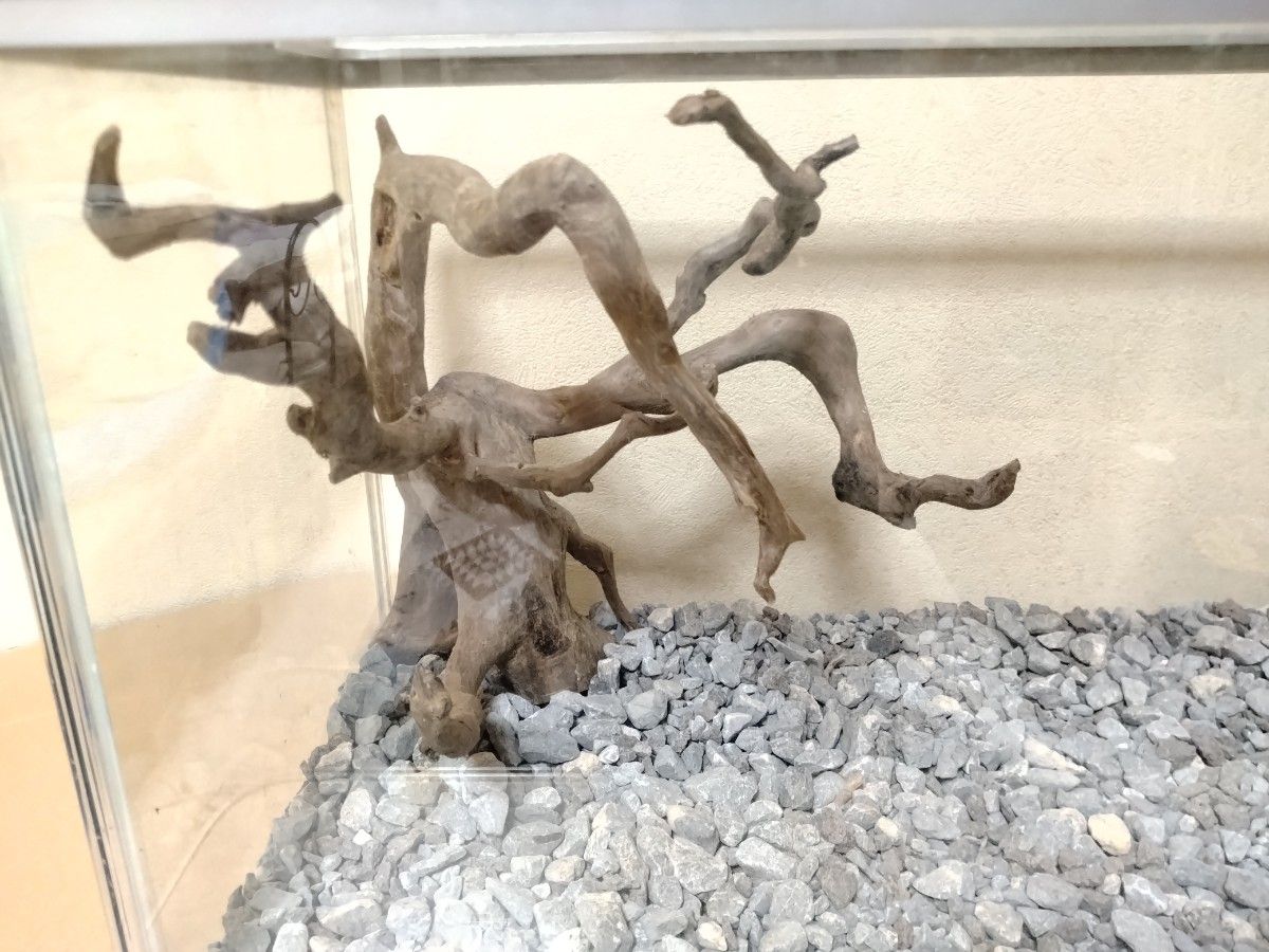 No.в92流木