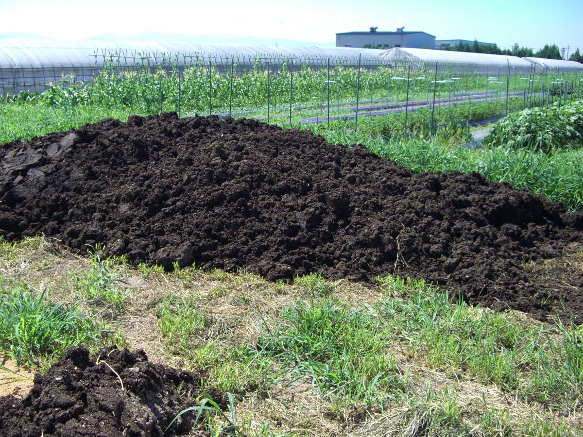 納豆菌酵素９：土壌改良剤・家庭菜園：10リットル_画像5