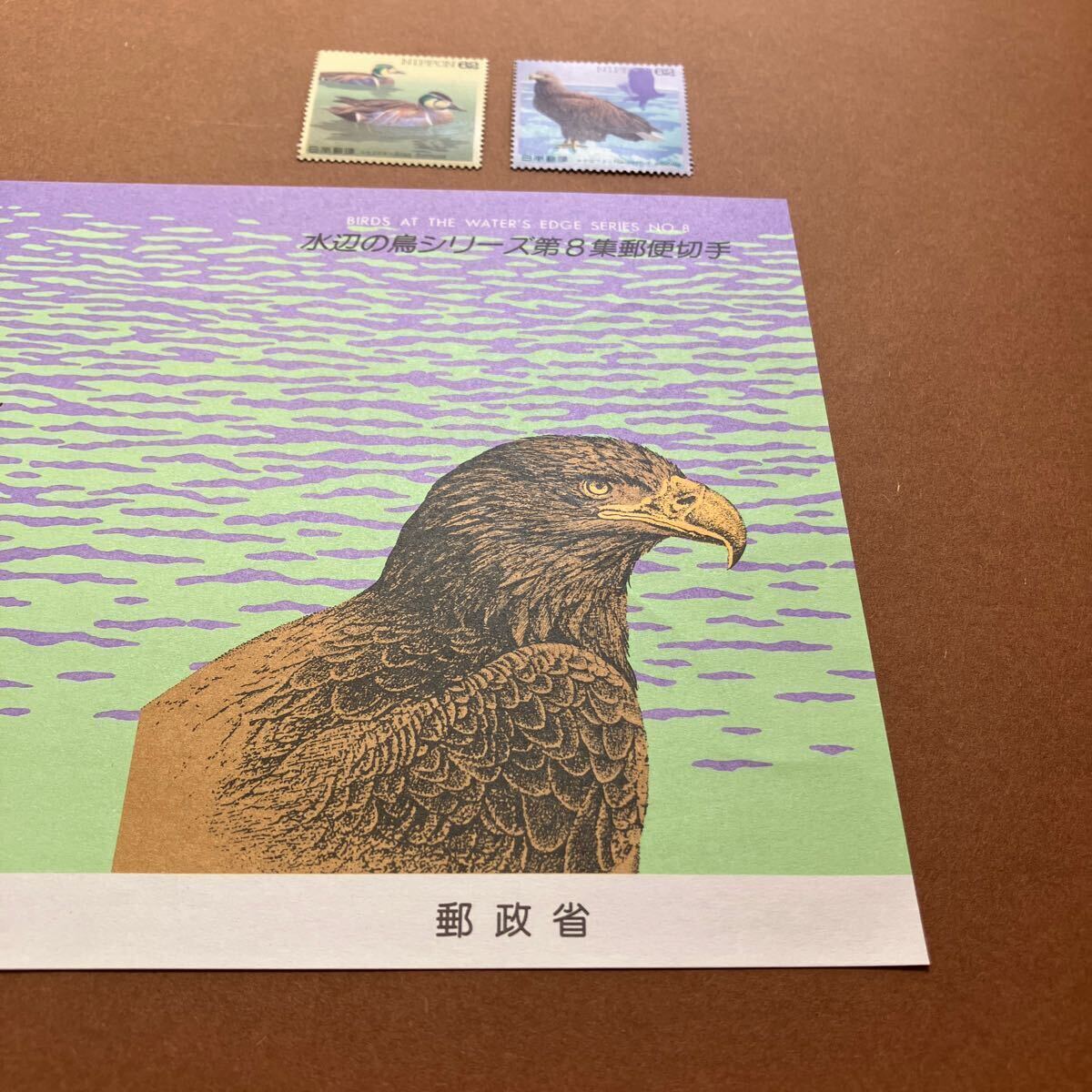  waterside bird series no. 8 compilation mail stamp /1993 year issue /62 jpy stamp / single one-side summarize /tomoegamo/oji lower si/ pamphlet ( instructions manual ) attaching / unused / wild bird 
