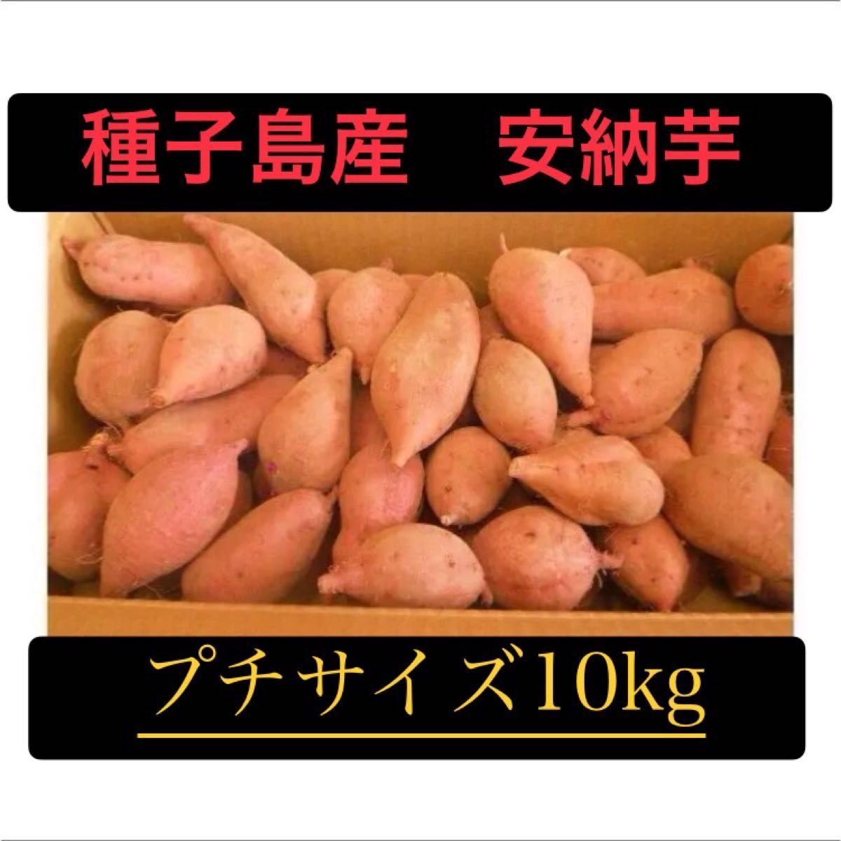 種子島産安納芋プチサイズ10kgさつまいも焼き芋に紅はるかより希少☆56
