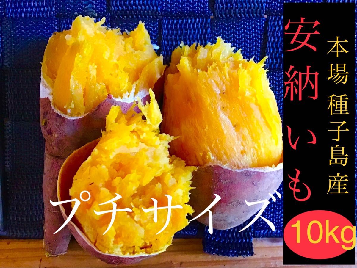 種子島産安納芋プチサイズ10kgさつまいも焼き芋に紅はるかより希少☆56