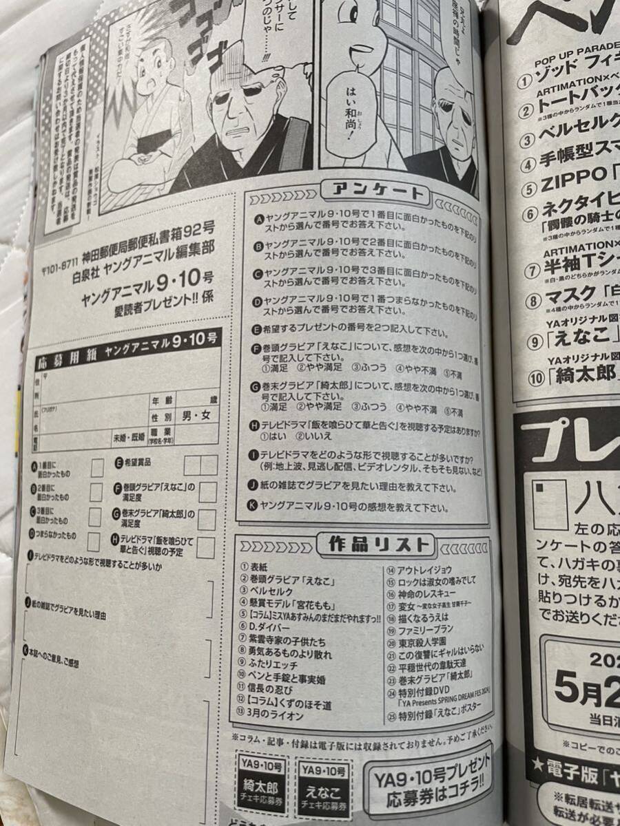 ヤングアニマル 2024 No.9&10 えなこ 綺太郎 サイン入りチェキ応募券 アンプレ用紙の画像5