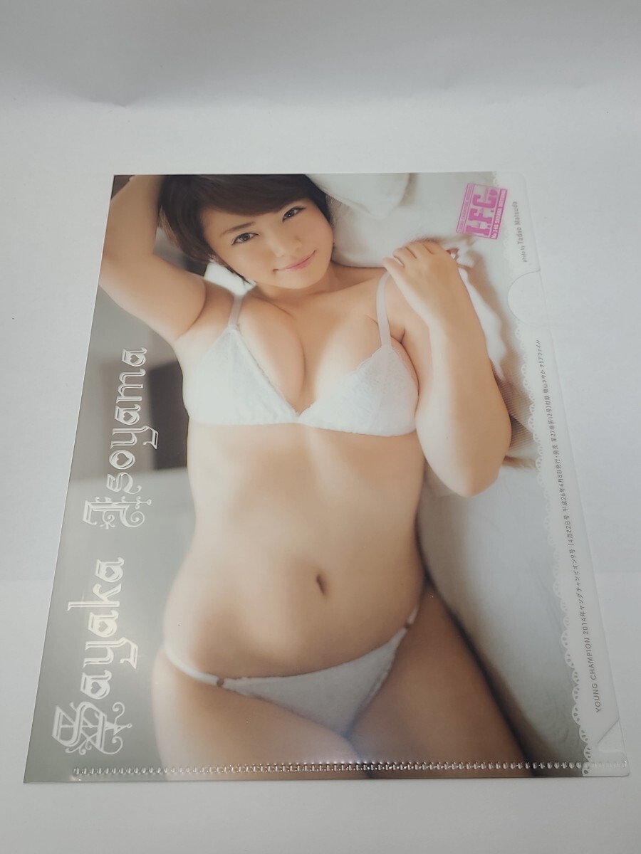 磯山さやか B5クリアファイル ヤングチャンピオン2014年9号付録 I.F.C.No.146　グラビア　アイドル　グッズ　写真_画像1