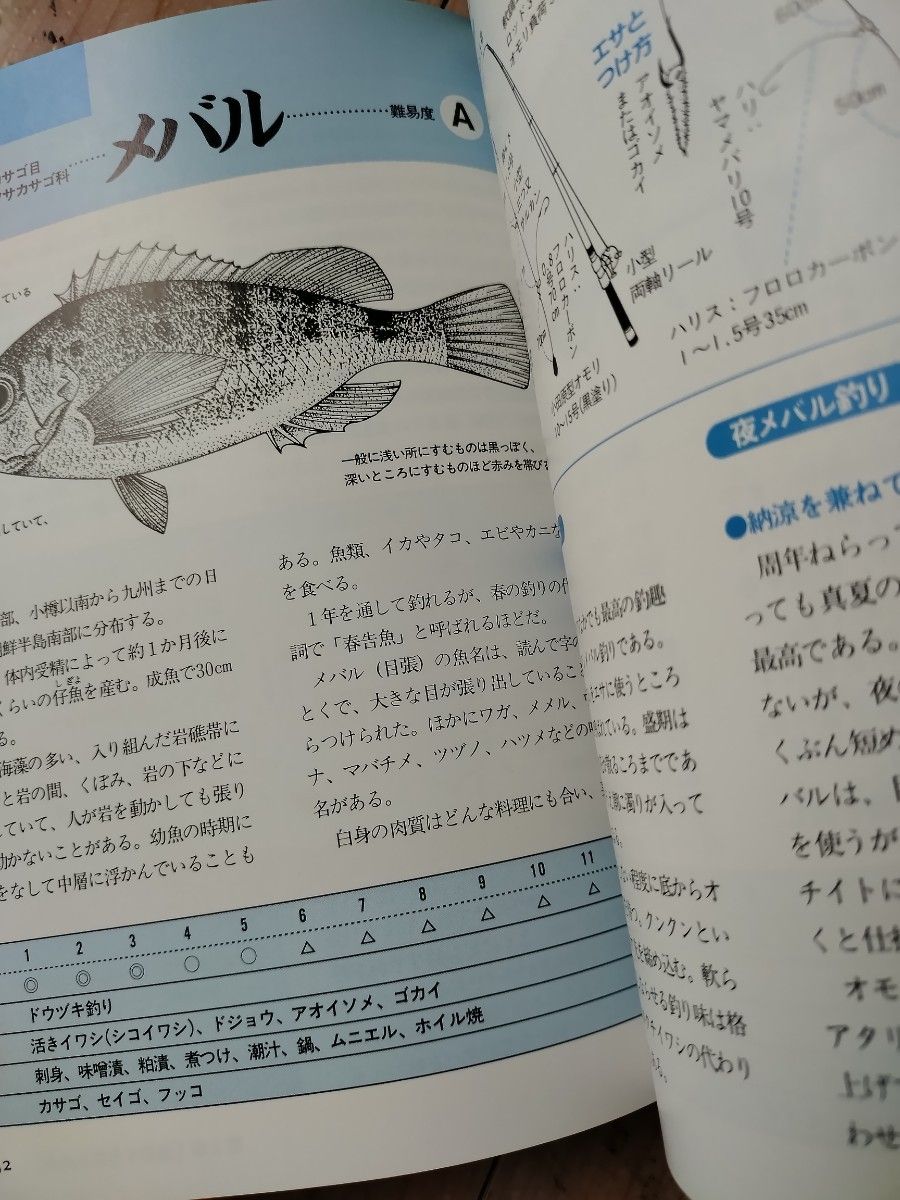 釣り〈海・川・湖沼〉　基本の釣り方から、ルアー、フライフィッシングまで （ビギナーズＢＯＯＫ） 原まさし／編著