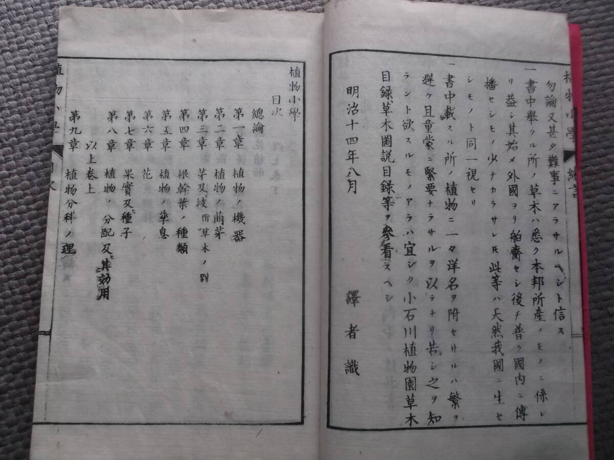 明治期●植物小学 上下巻揃 松村任三纂訳●明治15年 金港堂 教科書 多数絵入 木版刷り 和本の画像3