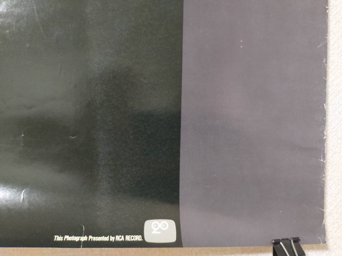 昭和レトロ エルヴィス・プレスリー RCAレコード GXO ワールドボーイ B1サイズ ポスター / エルビス プレスリーの画像7