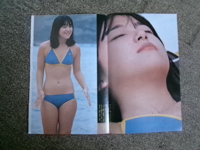  прекрасный товар Showa идол Iwasaki Hiromi, булавка nap постер 