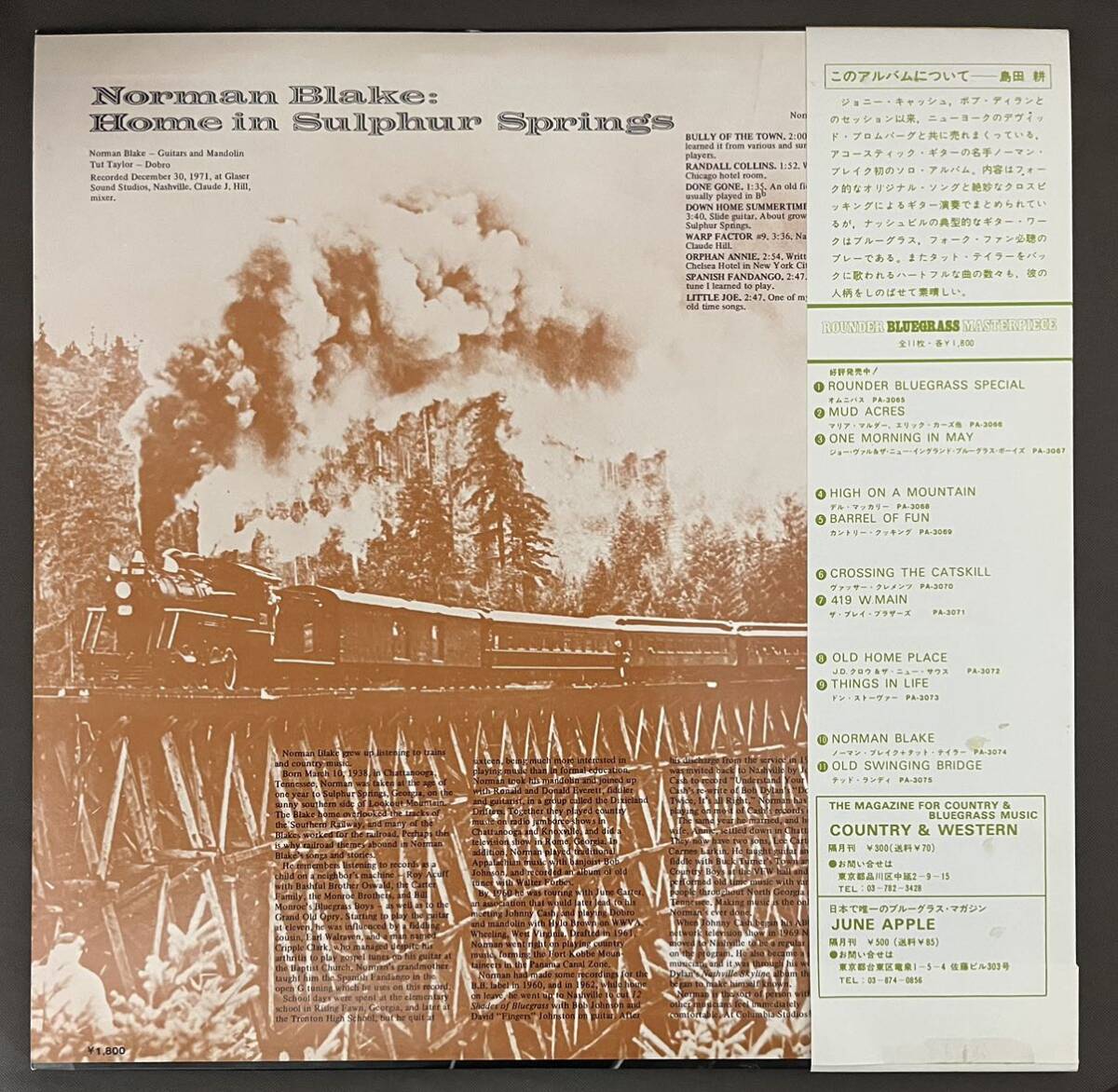 ノーマン・ブレイク「ホーム・イン・サルファー・スプリングス」 PA-3074 Norman Blake 国内盤_画像3