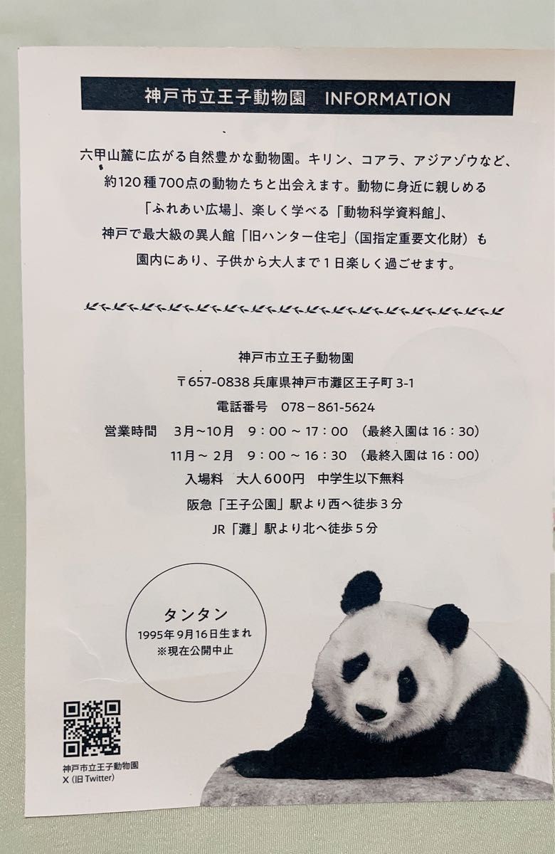 松坂屋上野店ノベルティ タンタン 神戸市立王子動物園Ver
