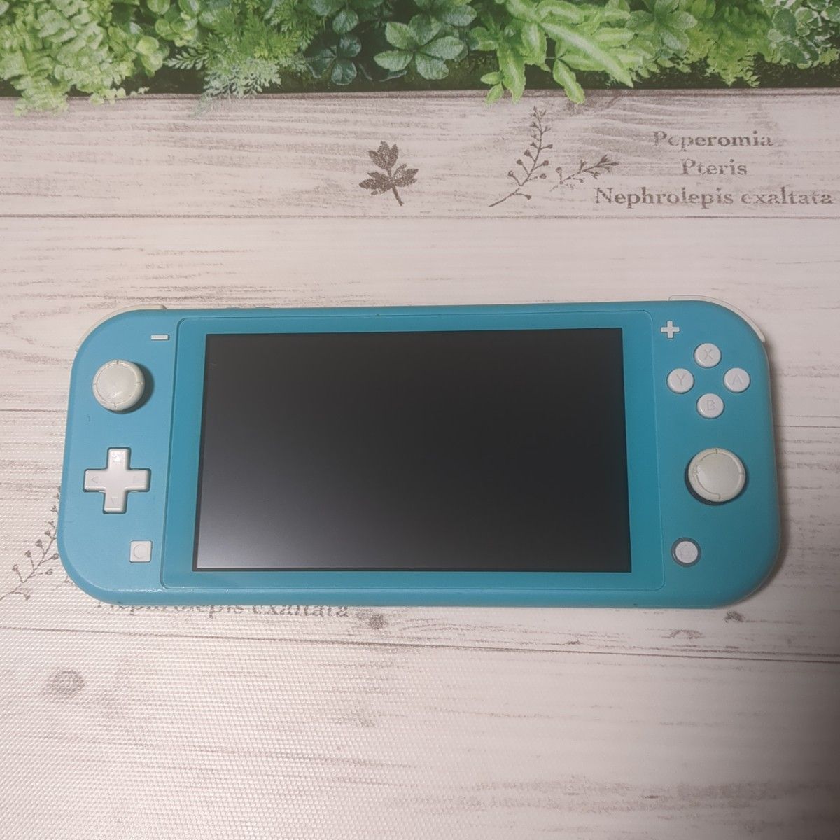 Nintendo Switch Lite ターコイズ　ジャンク