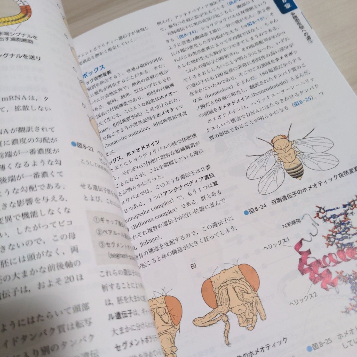 基礎から学ぶ生物学・細胞生物学 （第４版） 和田勝／著　高田耕司／編集協力