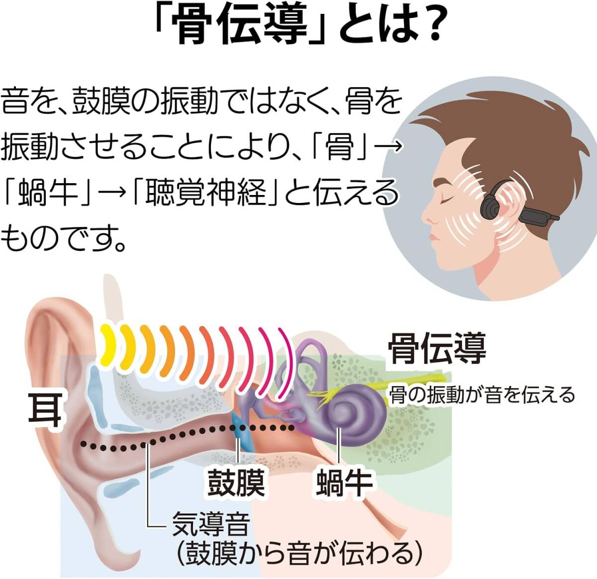 新品 送料無料 オーム電機 AudioComm 骨伝導 ワイヤレスイヤホン Bluetooth 無線 耐水 軽量 HP-BC200Z 03-0786 ブラック オーディオコム_画像5