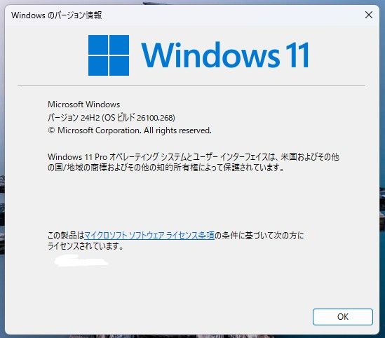 Windows11  24H2  26100.268  USBメモリ  8GB  RTM候補