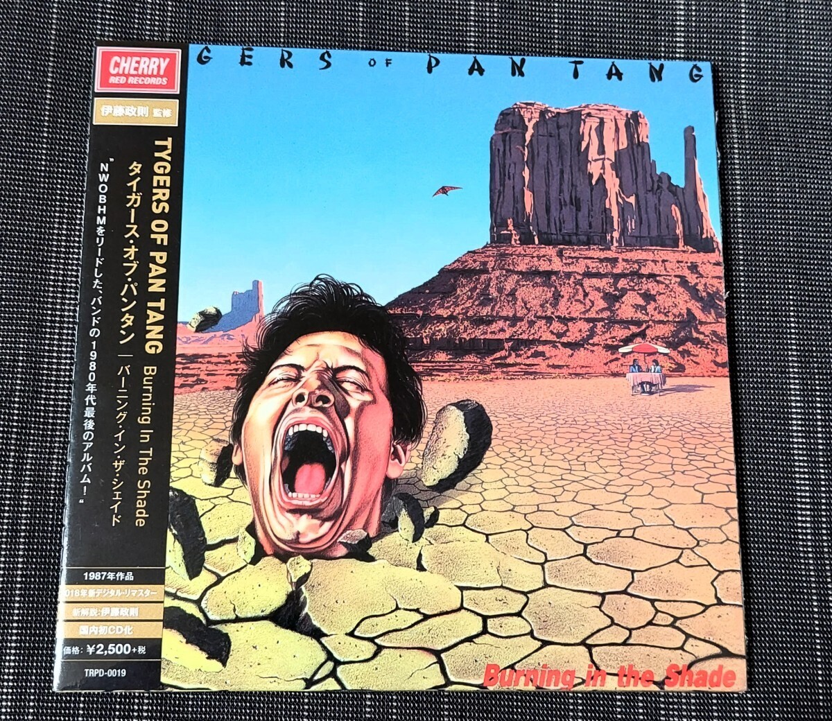 ★帯付リマスター盤◆タイガース・オブ・パンタン/バーニング・イン・ザ・シェイド TYGERS OF PAN TANG/BURNING IN THE SHADE 国内盤廃盤_画像1