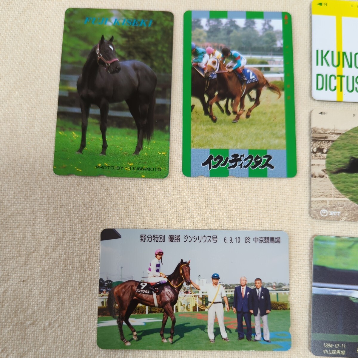 競走馬テレホンカード８枚 オッズカード１枚の画像2