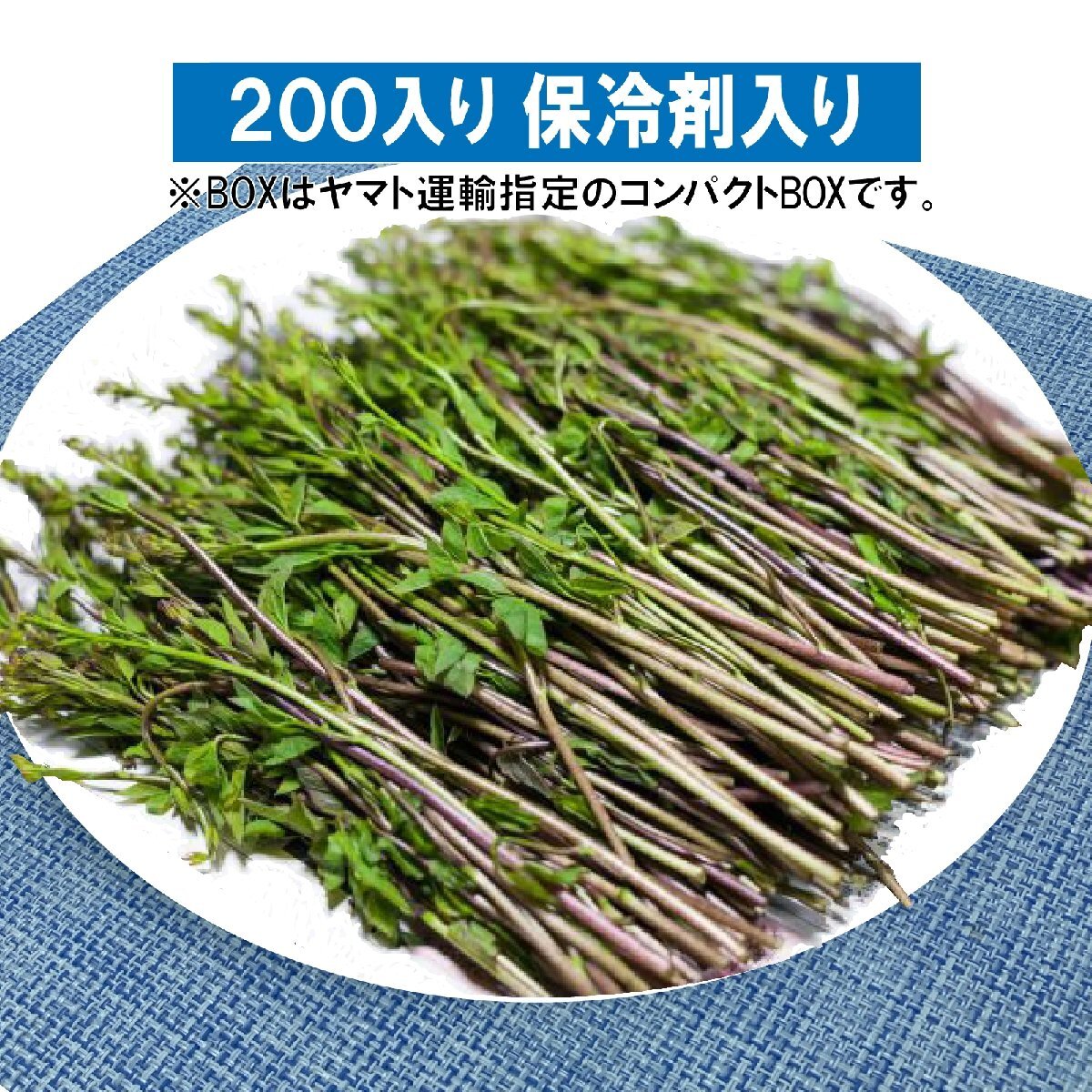 [ early stage reservation . limit 100 jpy discount ][ cooling agent entering ]. snow zone. .. seems to be edible wild plants akebi. new .[ tree. .] approximately 200g/ Niigata . is high class break up . food ingredients 