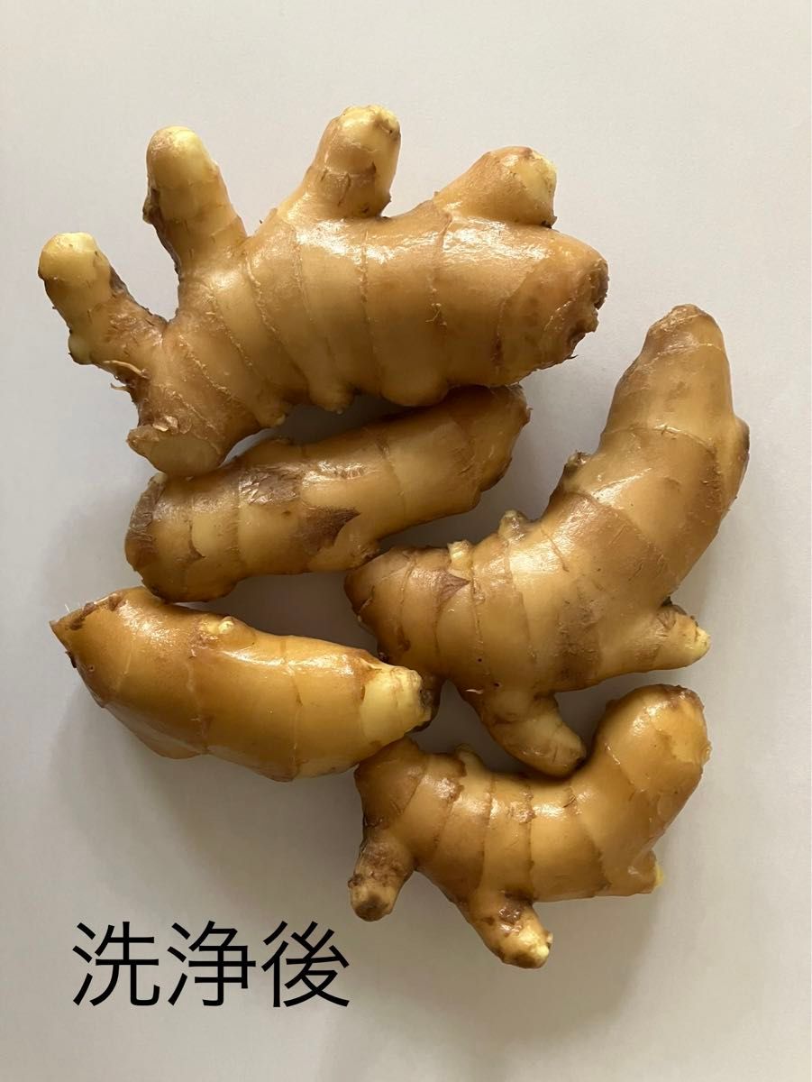 高知県産　囲い生姜　極小600g