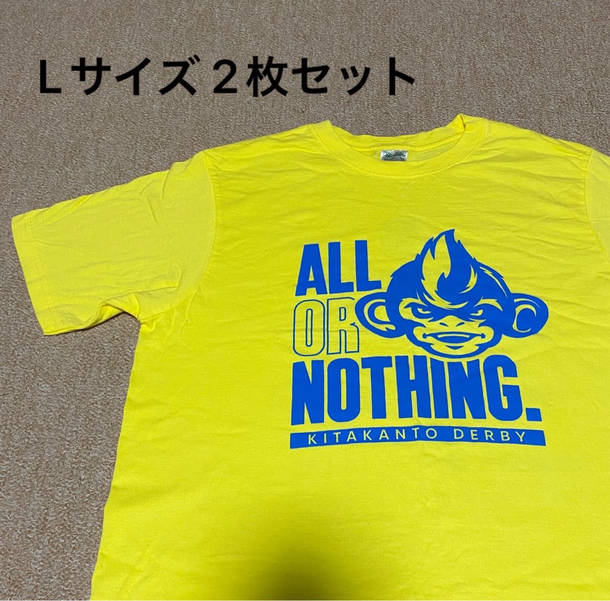 栃木SC 記念Tシャツ Lサイズ 2枚セット　